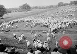 Immagine di Il golfer Lloyd Eugene Mangrum Cleveland Ohio USA, 1946, secondo 30 filmato di repertorio 65675047839