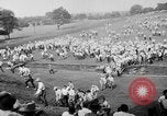 Immagine di Il golfer Lloyd Eugene Mangrum Cleveland Ohio USA, 1946, secondo 32 filmato di repertorio 65675047839