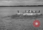Image of water skiing Cypress Gardens Florida USA, 1946, second 18 stock footage video 65675047840
