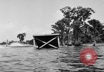 Image of water skiing Cypress Gardens Florida USA, 1946, second 44 stock footage video 65675047840