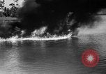 Image of water skiing Cypress Gardens Florida USA, 1946, second 56 stock footage video 65675047840
