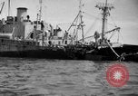 Immagine di Naufragata la nave Liberty Normandia Francia, 1944, secondo 43 filmato di repertorio 65675047859