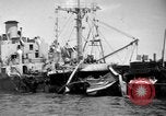 Immagine di Naufragata la nave Liberty Normandia Francia, 1944, secondo 55 filmato di repertorio 65675047859