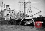 Immagine di Naufragata la nave Liberty Normandia Francia, 1944, secondo 58 filmato di repertorio 65675047859