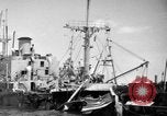 Immagine di Naufragata la nave Liberty Normandia Francia, 1944, secondo 59 filmato di repertorio 65675047859