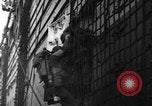 Image of United States troops Normandy France, 1944, second 62 stock footage video 65675047878