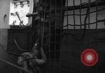 Image of United States troops Normandy France, 1944, second 14 stock footage video 65675047879