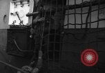 Image of United States troops Normandy France, 1944, second 18 stock footage video 65675047879