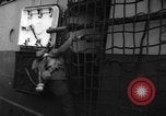 Image of United States troops Normandy France, 1944, second 21 stock footage video 65675047879