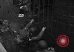 Image of United States troops Normandy France, 1944, second 33 stock footage video 65675047879