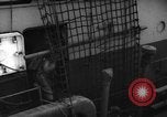 Image of United States troops Normandy France, 1944, second 52 stock footage video 65675047879