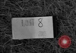 Image of United States troops Normandy France, 1944, second 22 stock footage video 65675047881