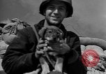 Image of United States troops Normandy France, 1944, second 61 stock footage video 65675047881