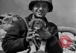 Image of United States troops Normandy France, 1944, second 62 stock footage video 65675047881