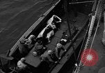 Image of Japanese prisoners Iwo Jima, 1945, second 24 stock footage video 65675047898