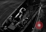 Image of Japanese prisoners Iwo Jima, 1945, second 27 stock footage video 65675047898