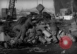 Standbild Vereinigten Staaten Marines Hungnam Nordkorea, 1950, aus Sekunde 33 historischem Filmmaterial Videoclip 65675047904