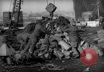 Standbild Vereinigten Staaten Marines Hungnam Nordkorea, 1950, aus Sekunde 34 historischem Filmmaterial Videoclip 65675047904