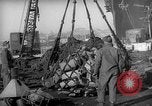 Standbild Vereinigten Staaten Marines Hungnam Nordkorea, 1950, aus Sekunde 46 historischem Filmmaterial Videoclip 65675047904