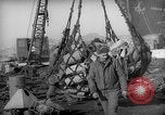 Standbild Vereinigten Staaten Marines Hungnam Nordkorea, 1950, aus Sekunde 48 historischem Filmmaterial Videoclip 65675047904