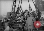 Standbild Vereinigten Staaten Marines Hungnam Nordkorea, 1950, aus Sekunde 49 historischem Filmmaterial Videoclip 65675047904