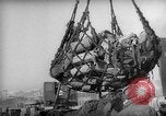 Standbild Vereinigten Staaten Marines Hungnam Nordkorea, 1950, aus Sekunde 52 historischem Filmmaterial Videoclip 65675047904