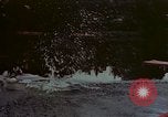 Standbild Hitlers Begleiter Eva Braun Berchtesgaden Deutschland, 1940, aus Sekunde 22 historischem Filmmaterial Videoclip 65675047928