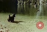 Standbild Eva Braun Berchtesgaden Deutschland, 1940, aus Sekunde 53 historischem Filmmaterial Videoclip 65675047929
