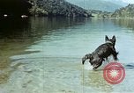 Standbild Eva Braun Berchtesgaden Deutschland, 1940, aus Sekunde 62 historischem Filmmaterial Videoclip 65675047929