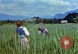 Standbild Adolf Hitlers Begleiter Eva Braun Berchtesgaden Deutschland, 1940, aus Sekunde 3 historischem Filmmaterial Videoclip 65675047933