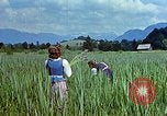 Standbild Adolf Hitlers Begleiter Eva Braun Berchtesgaden Deutschland, 1940, aus Sekunde 4 historischem Filmmaterial Videoclip 65675047933