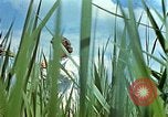 Standbild Adolf Hitlers Begleiter Eva Braun Berchtesgaden Deutschland, 1940, aus Sekunde 9 historischem Filmmaterial Videoclip 65675047933