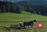 Standbild Adolf Hitlers Berghof Berchtesgaden Deutschland, 1940, aus Sekunde 5 historischem Filmmaterial Videoclip 65675047937