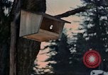 Image Adolf Hitler Berchtesgaden Allemagne, 1940, de la seconde 24 séquences d'archives historiques vidéo 65675047953