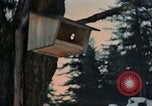 Image Adolf Hitler Berchtesgaden Allemagne, 1940, de la seconde 25 séquences d'archives historiques vidéo 65675047953