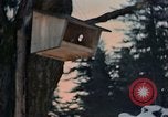 Image Adolf Hitler Berchtesgaden Allemagne, 1940, de la seconde 28 séquences d'archives historiques vidéo 65675047953