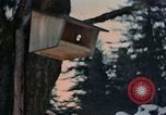 Image Adolf Hitler Berchtesgaden Allemagne, 1940, de la seconde 29 séquences d'archives historiques vidéo 65675047953