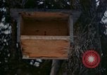 Image Adolf Hitler Berchtesgaden Allemagne, 1940, de la seconde 31 séquences d'archives historiques vidéo 65675047953