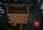 Image Adolf Hitler Berchtesgaden Allemagne, 1940, de la seconde 32 séquences d'archives historiques vidéo 65675047953