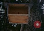 Image Adolf Hitler Berchtesgaden Allemagne, 1940, de la seconde 35 séquences d'archives historiques vidéo 65675047953