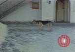 Image Adolf Hitler Berchtesgaden Allemagne, 1940, de la seconde 42 séquences d'archives historiques vidéo 65675047953