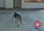 Image Adolf Hitler Berchtesgaden Allemagne, 1940, de la seconde 43 séquences d'archives historiques vidéo 65675047953