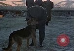 Image Adolf Hitler Berchtesgaden Allemagne, 1940, de la seconde 44 séquences d'archives historiques vidéo 65675047953