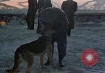 Image Adolf Hitler Berchtesgaden Allemagne, 1940, de la seconde 45 séquences d'archives historiques vidéo 65675047953