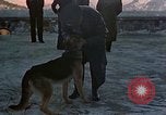 Image Adolf Hitler Berchtesgaden Allemagne, 1940, de la seconde 46 séquences d'archives historiques vidéo 65675047953