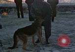 Image Adolf Hitler Berchtesgaden Allemagne, 1940, de la seconde 48 séquences d'archives historiques vidéo 65675047953