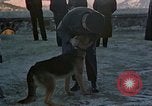 Image Adolf Hitler Berchtesgaden Allemagne, 1940, de la seconde 50 séquences d'archives historiques vidéo 65675047953