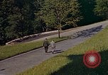 Immagine di Adolf Hitler Berchtesgaden Germania, 1940, secondo 46 filmato di repertorio 65675047957
