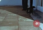 Immagine di Adolf Hitler cani Berchtesgaden Germania, 1940, secondo 8 filmato di repertorio 65675047969