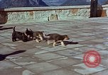 Immagine di Adolf Hitler cani Berchtesgaden Germania, 1940, secondo 29 filmato di repertorio 65675047969